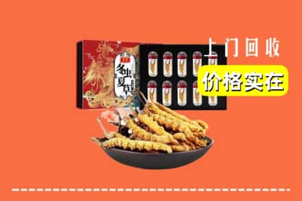 大连市普兰店回收冬虫夏草